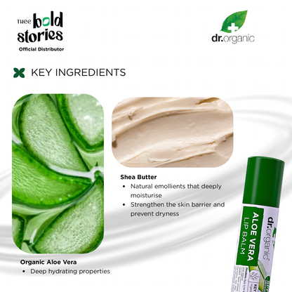 Aloe Vera Lip Balm