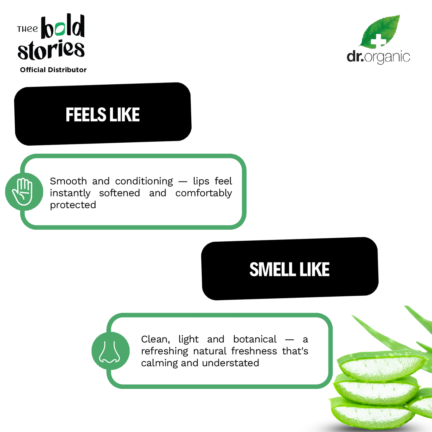 Aloe Vera Lip Balm