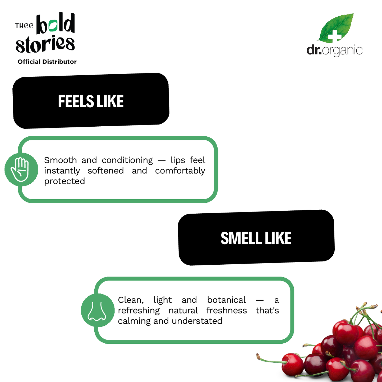 Aloe Vera Cherry Lip Balm