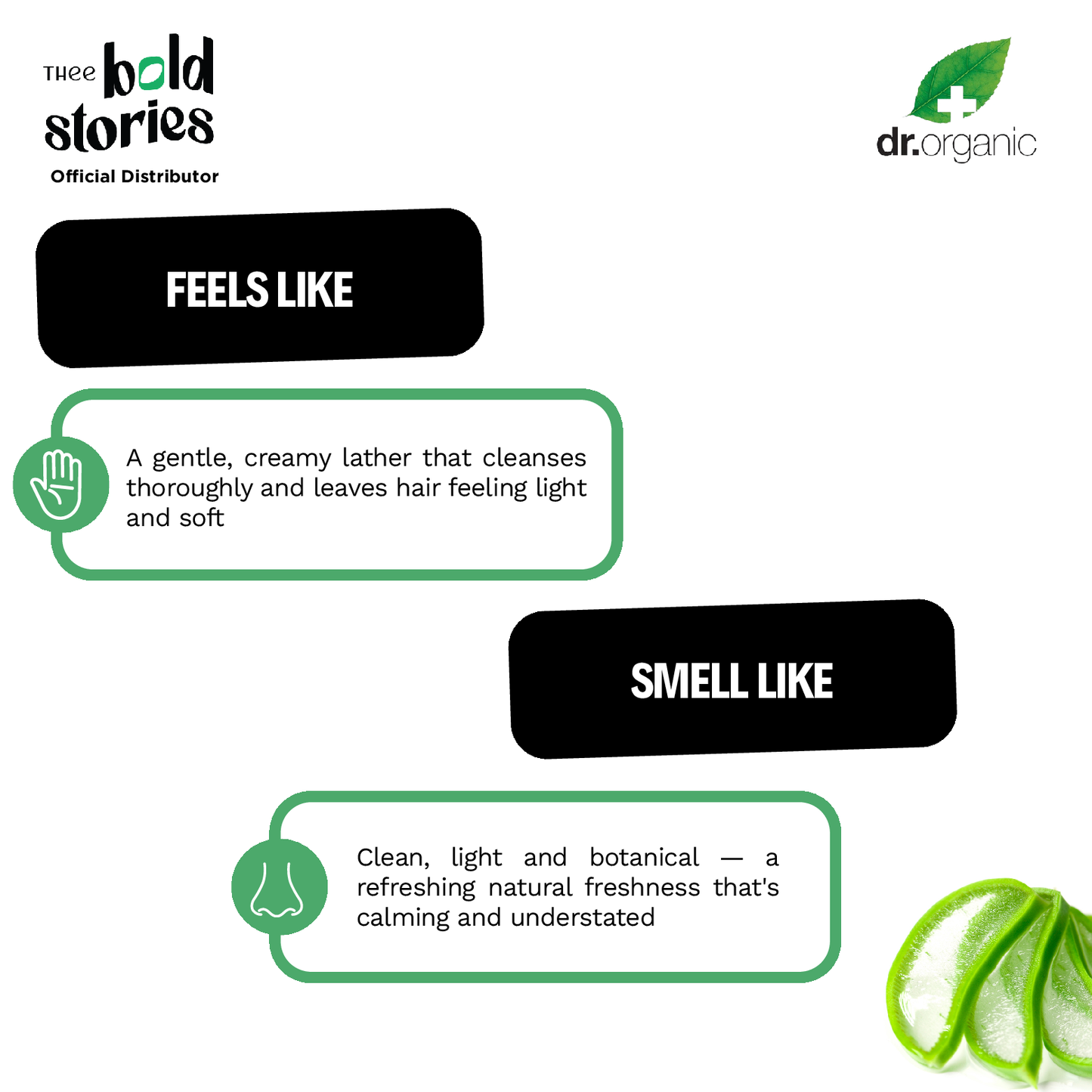Aloe Vera Shampoo
