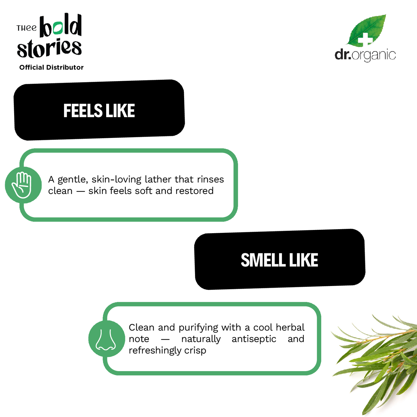 Tea Tree Body Wash