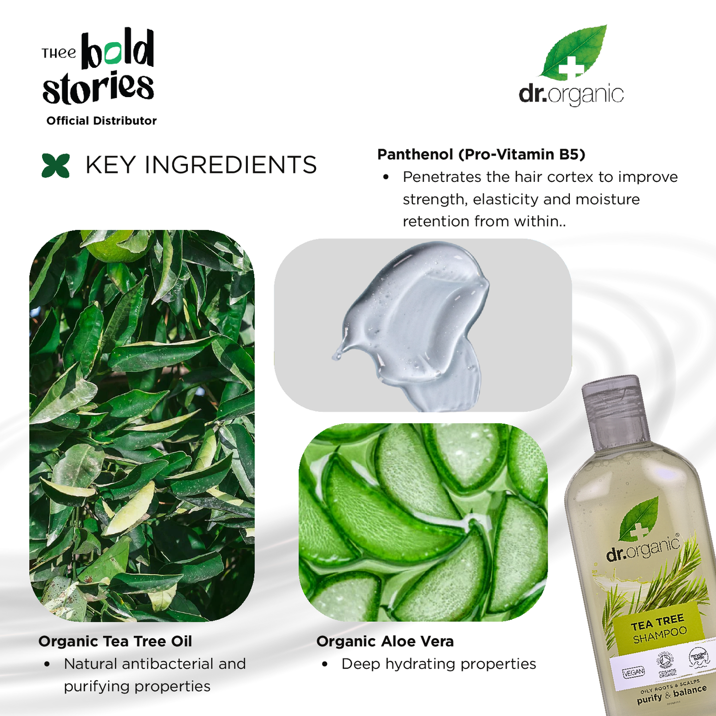 Tea Tree Shampoo