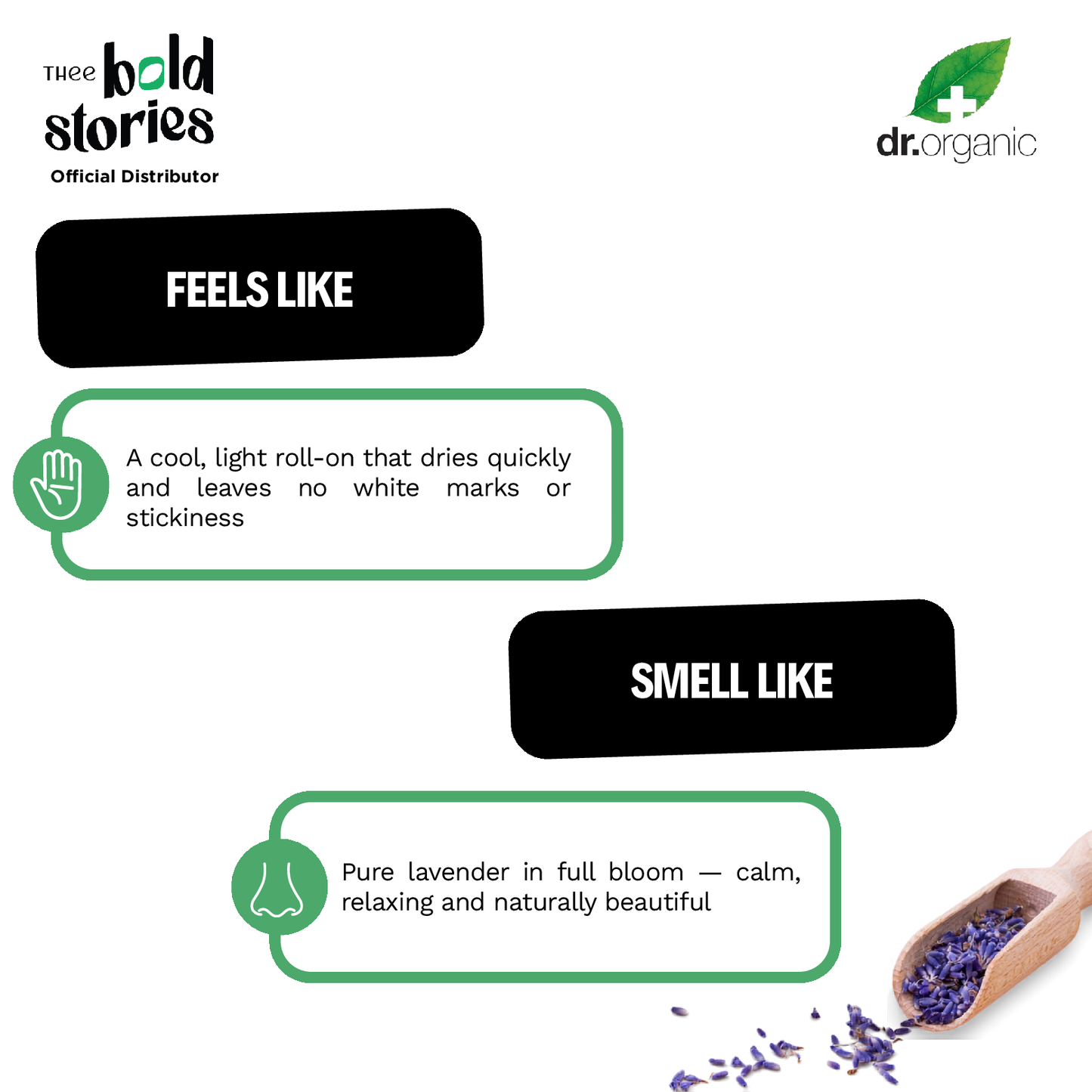 Lavender Deodorant