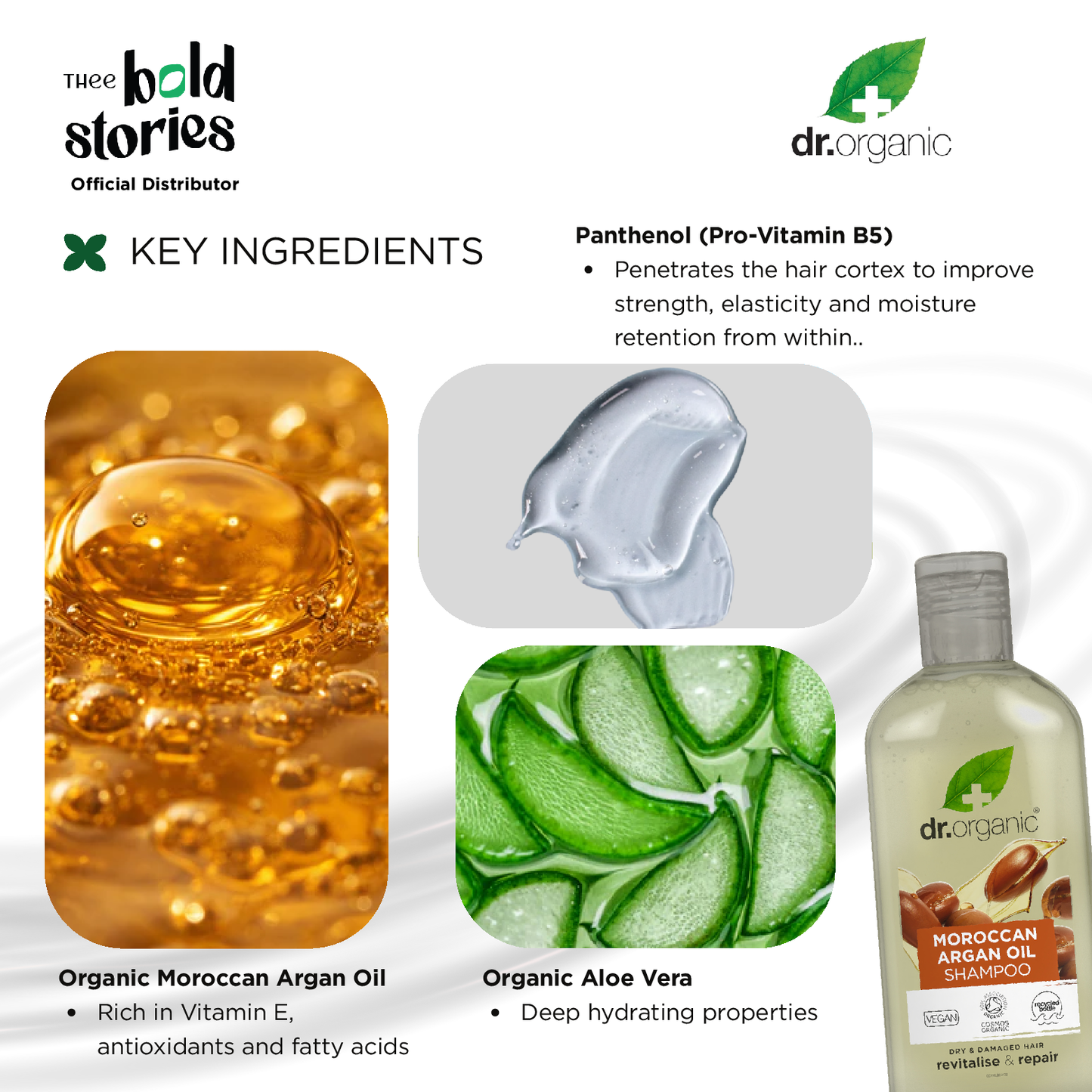 Moroccan Argan Oil Shampoo